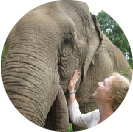 Burm and Emily’s Elephant Sanctuary