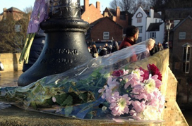 Janis Penn - Photo of flowers by the River Wear