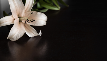 callout image placeholder 500x200