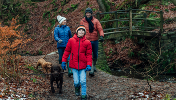 Shelter - Walk for Home Shelter - Walk for Home
